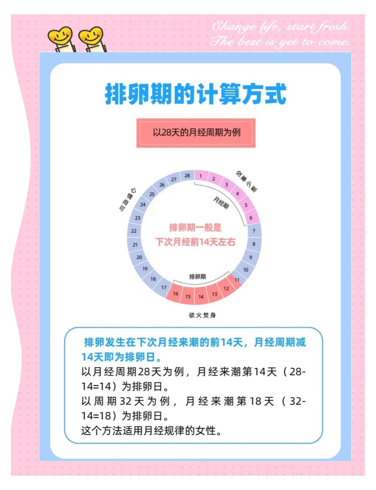 每个月都会排卵吗