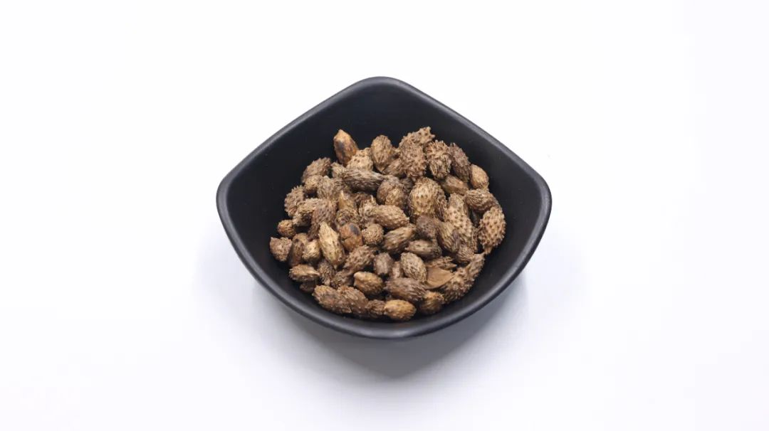 治疗鼻炎的中药有哪些