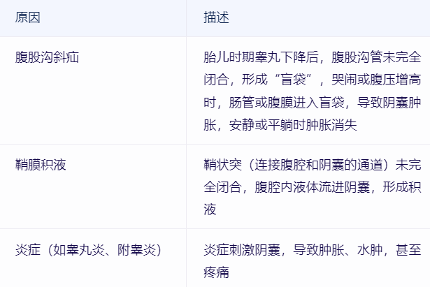 小儿睾丸鞘膜积液是什么原因引起的