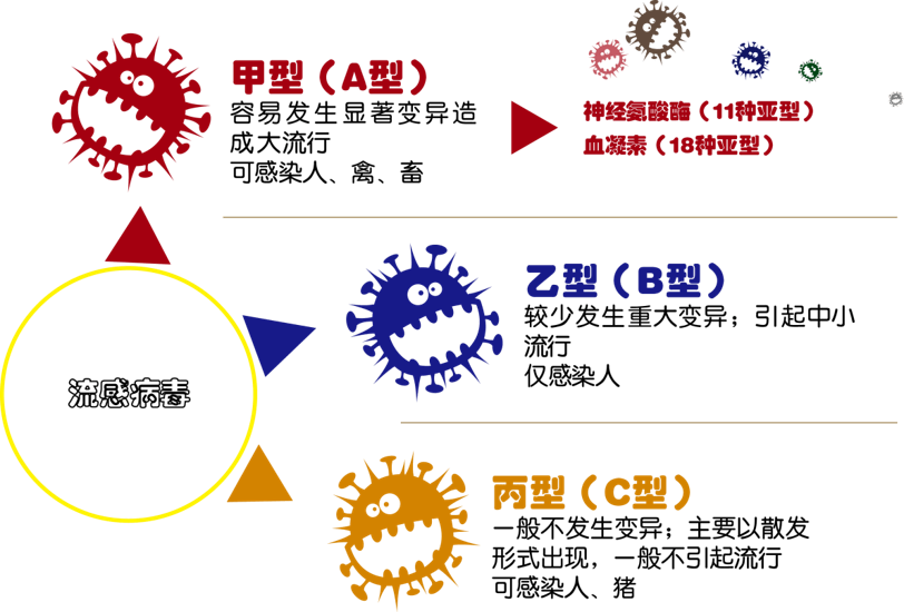 流行性感冒的病原学是什么?