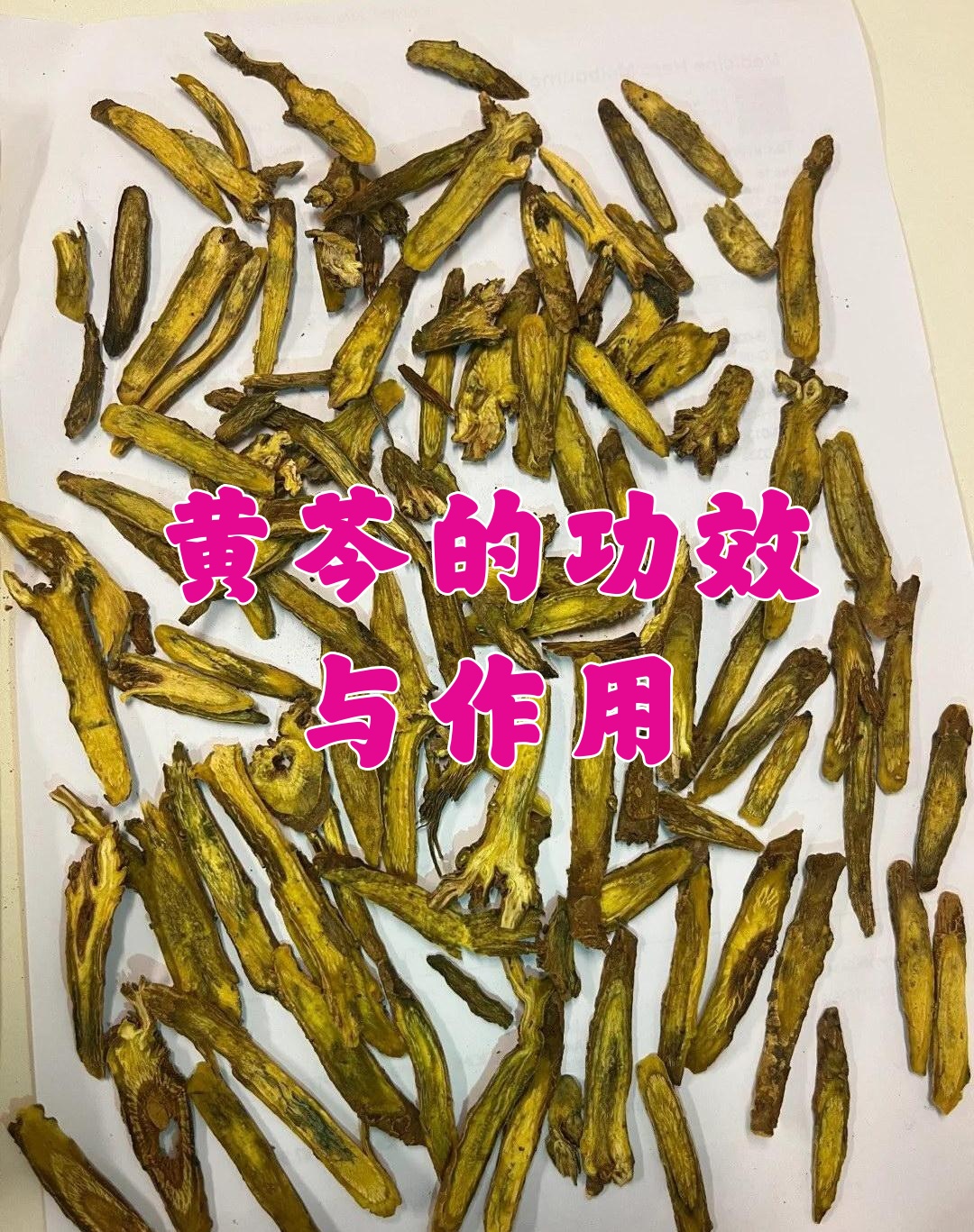 中药黄芩的功效与作用