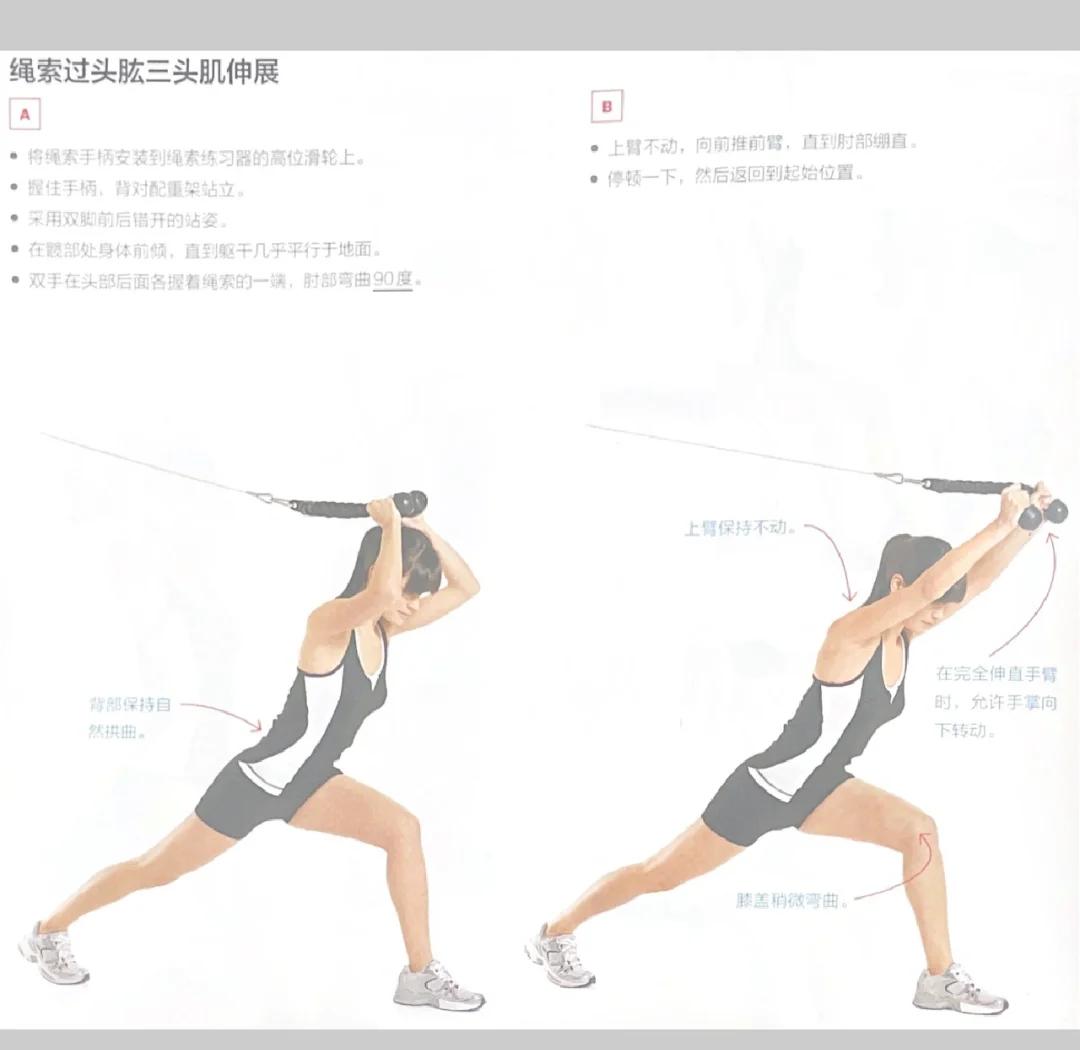 怎么样锻炼肌肉?