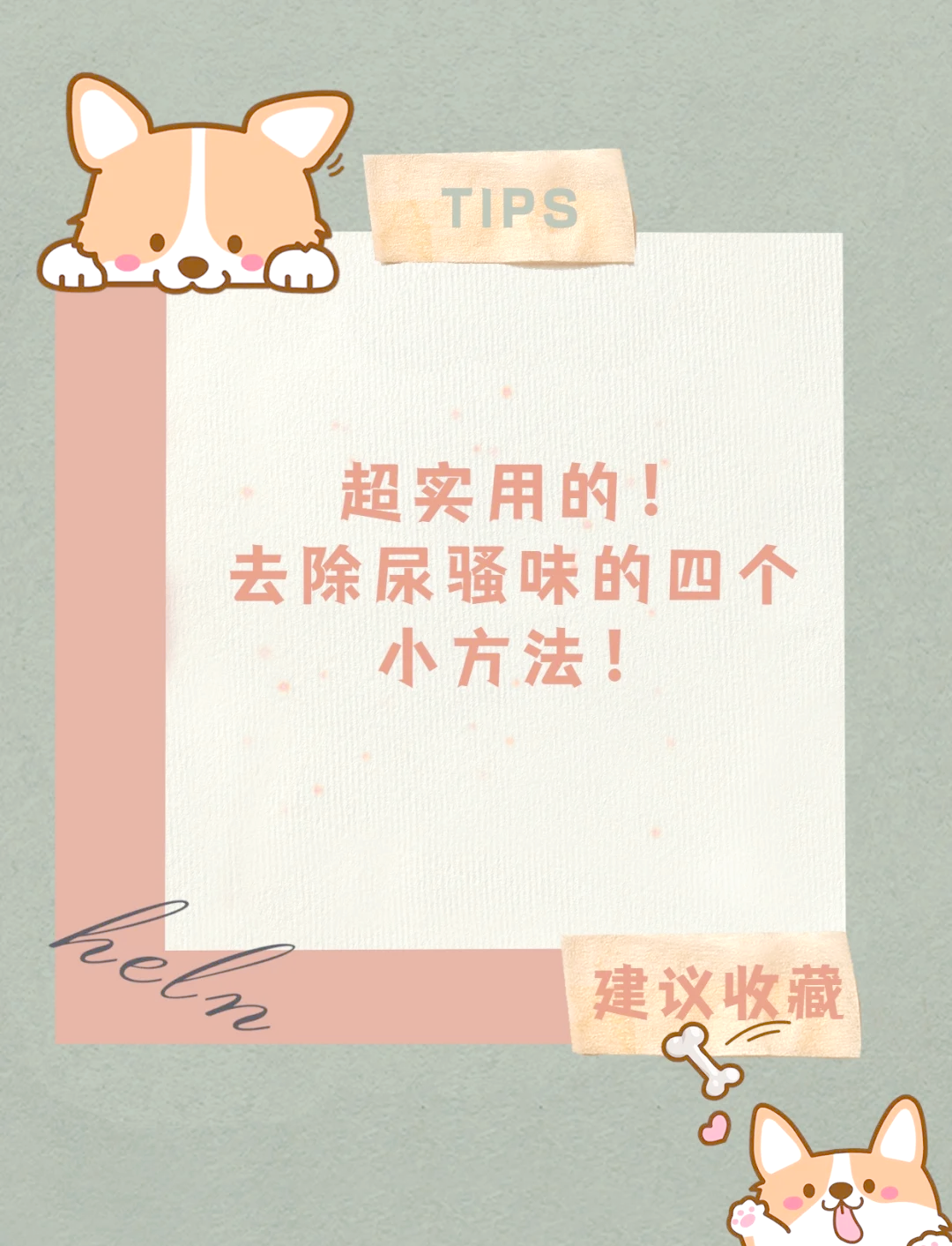 有什么方法可以去除家里尿骚味