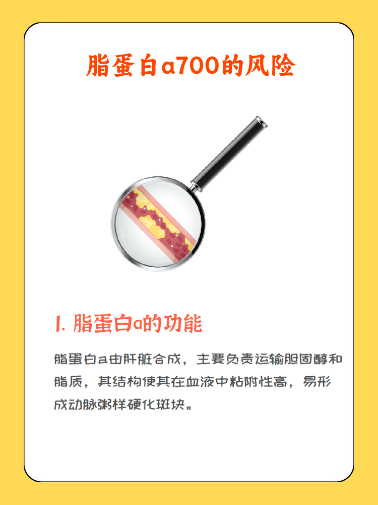 载脂蛋白a偏高的原因是什么