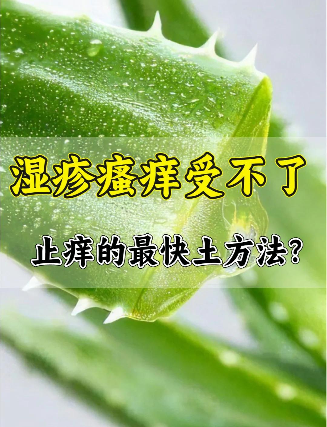 长了湿疹怎么止痒