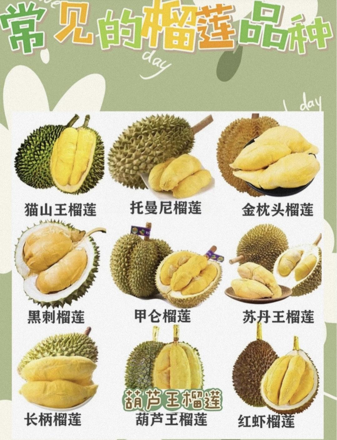 榴莲的营养和价值