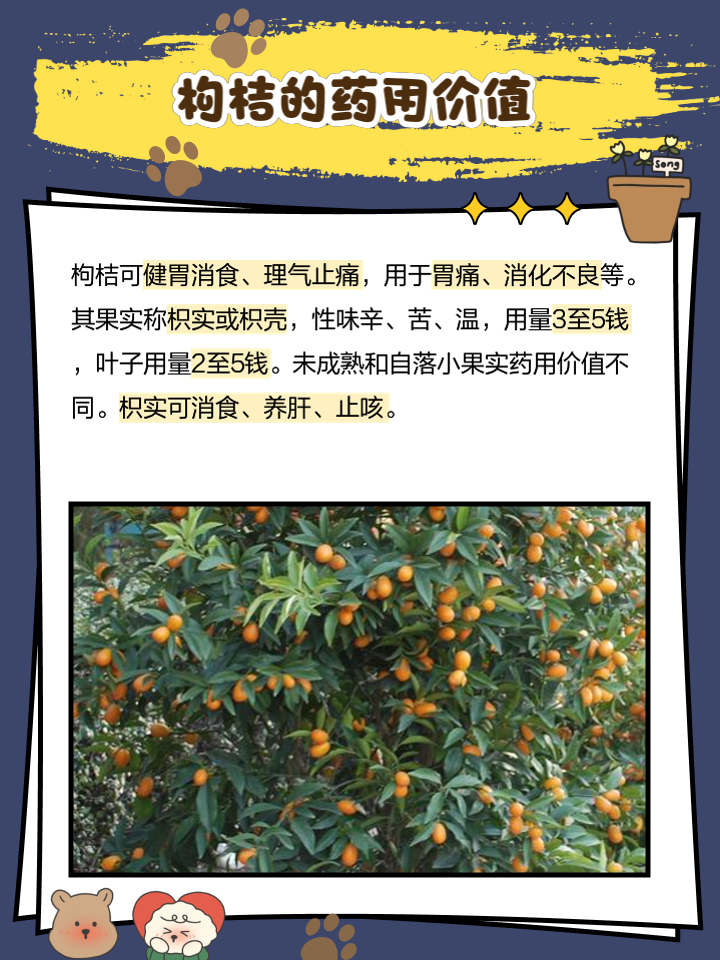 吃桔子有哪些好处呢