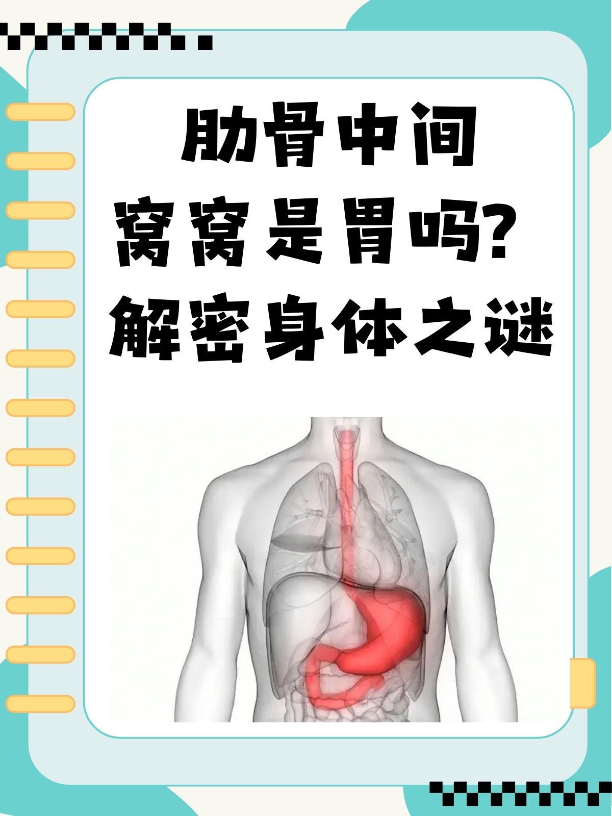 右肋骨下面是什么器官