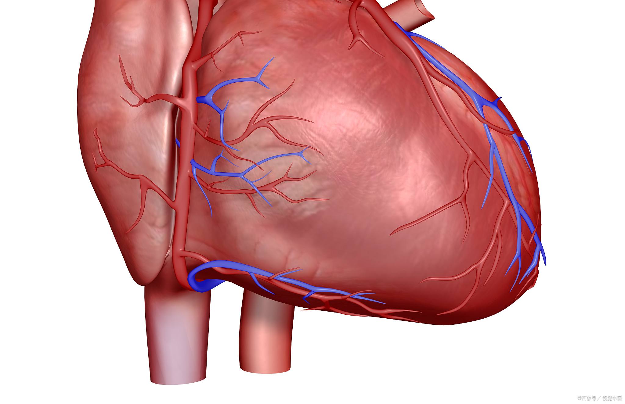 什么是心包积液?