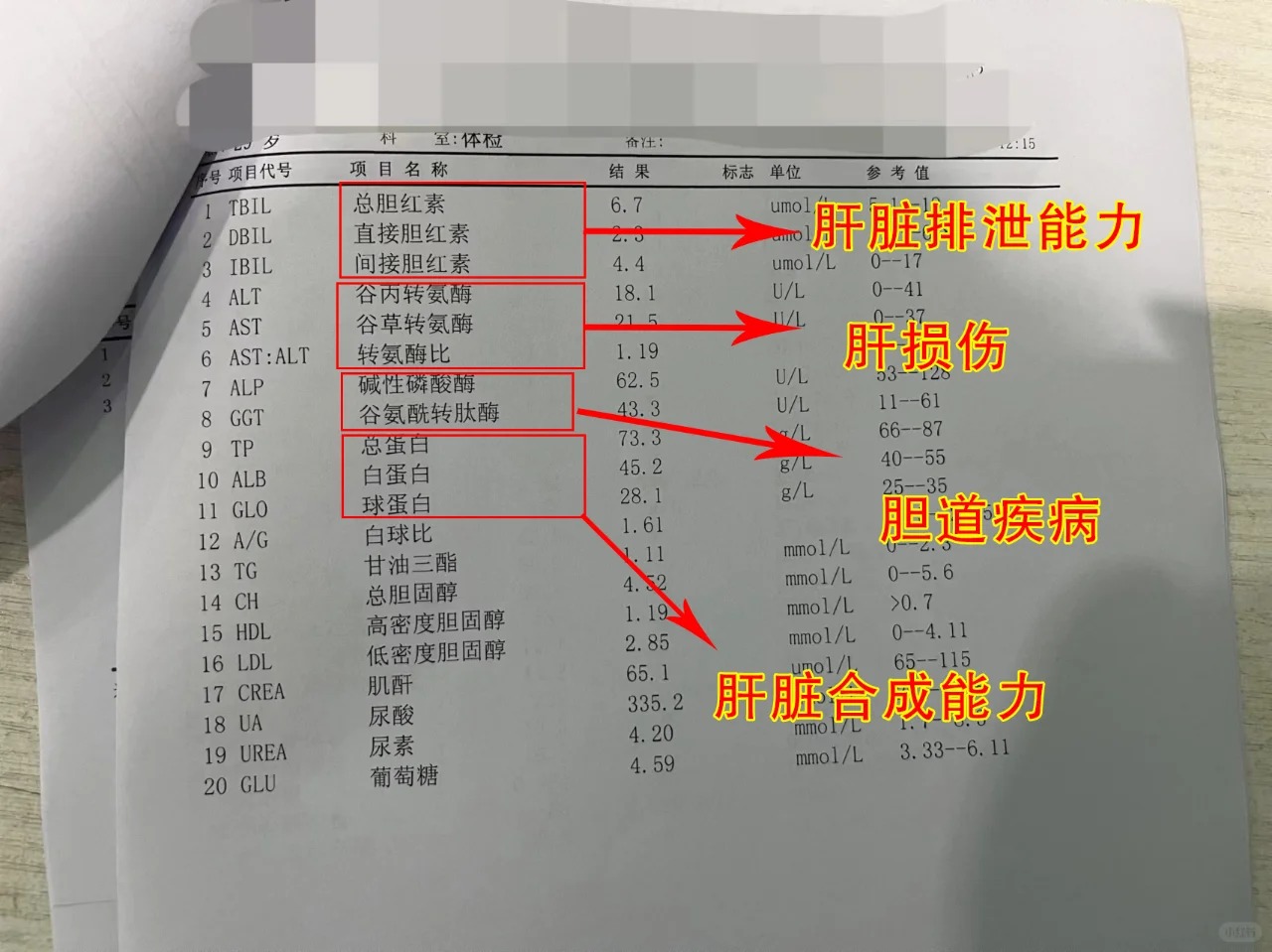 肝功能正常指标是多少