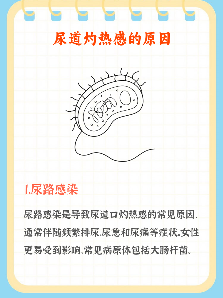 国际视野 第2页