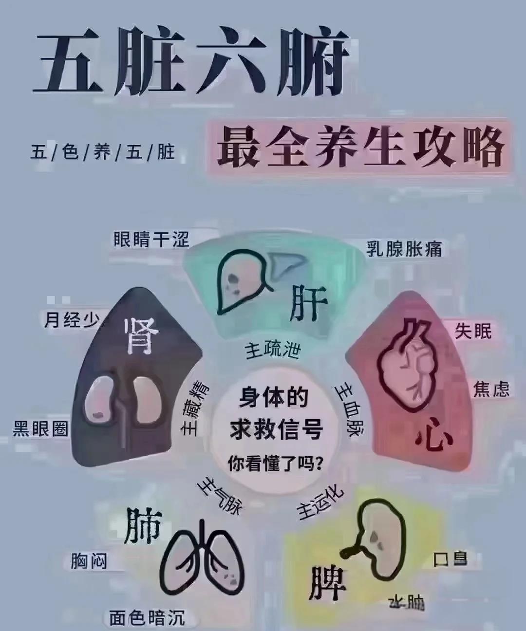 肝肾不足的症状