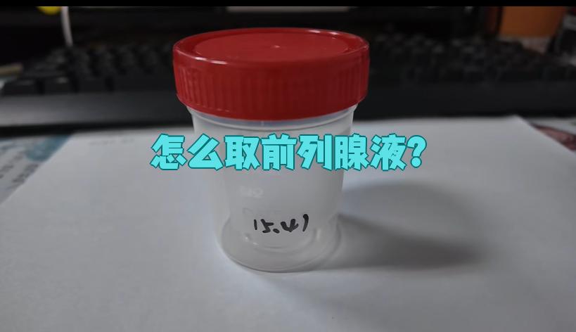 前列腺液是什么