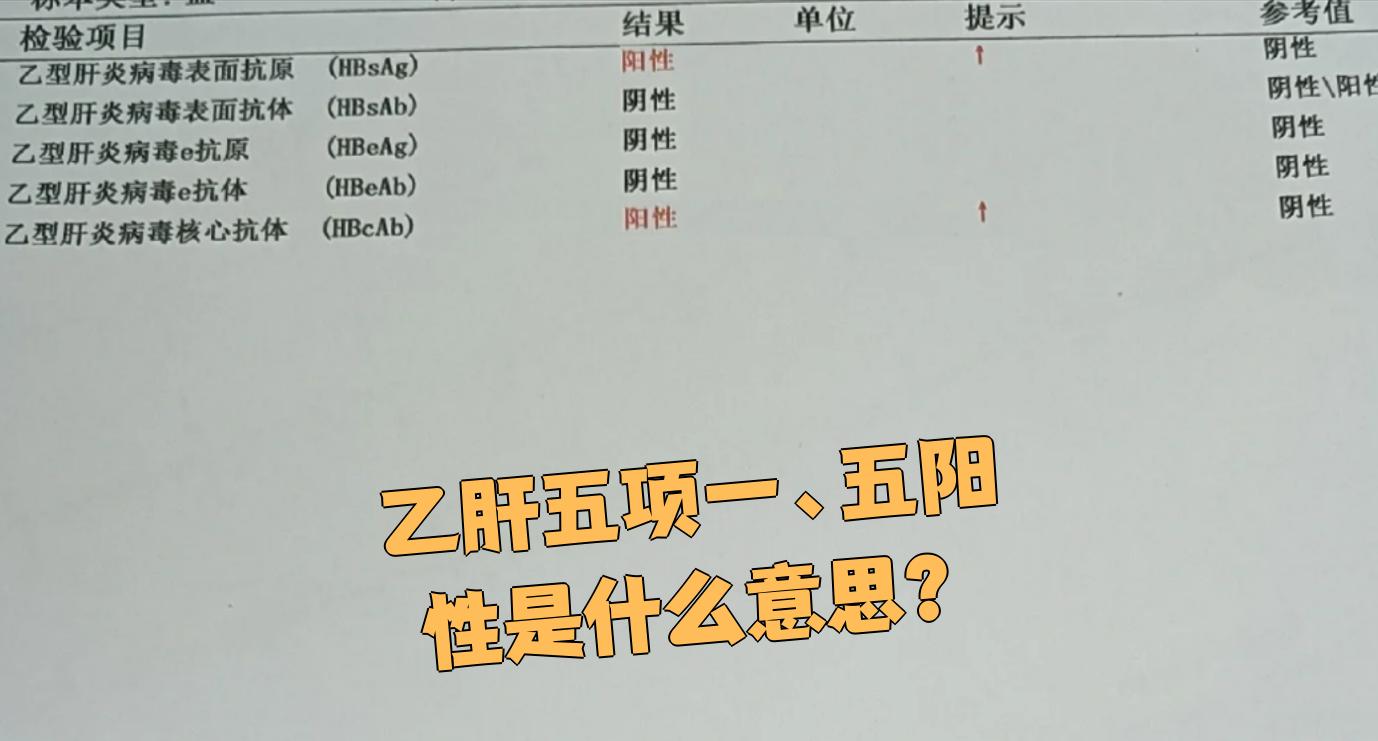 大三阳小三阳什么意思