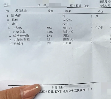 白细胞酯酶阳性什么意思