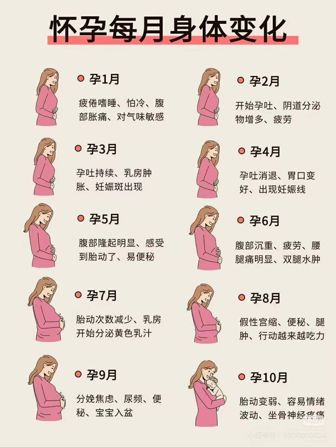 什么是人工受孕?