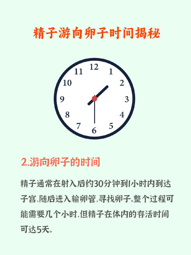 体外排精受孕几率大么