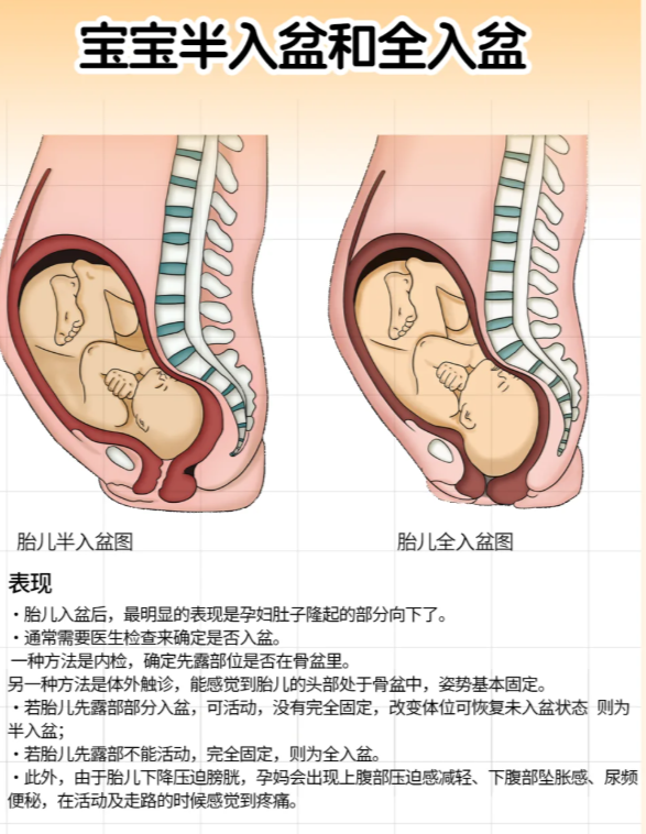 二胎临产前几天的征兆