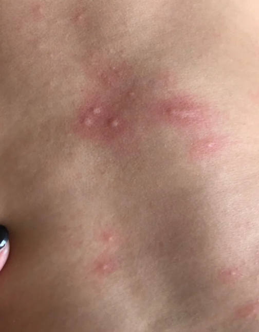 2025年12月 第31页