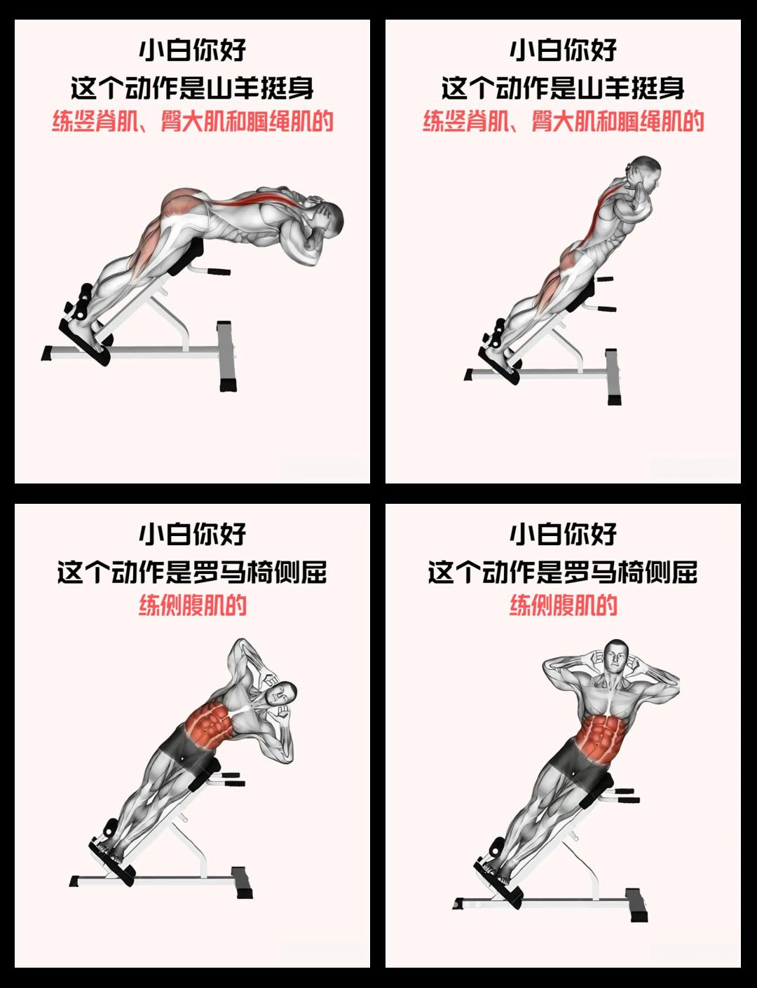 怎么做仰卧起坐