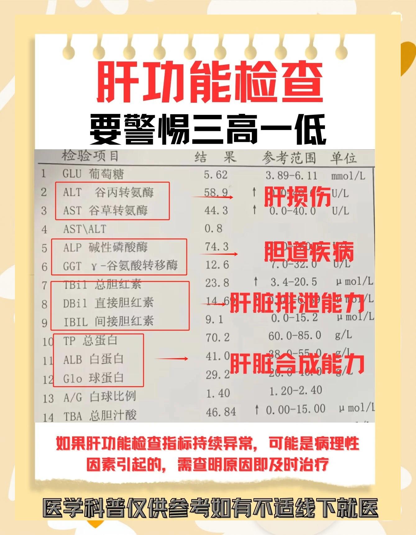 谷丙谷草偏低什么原因