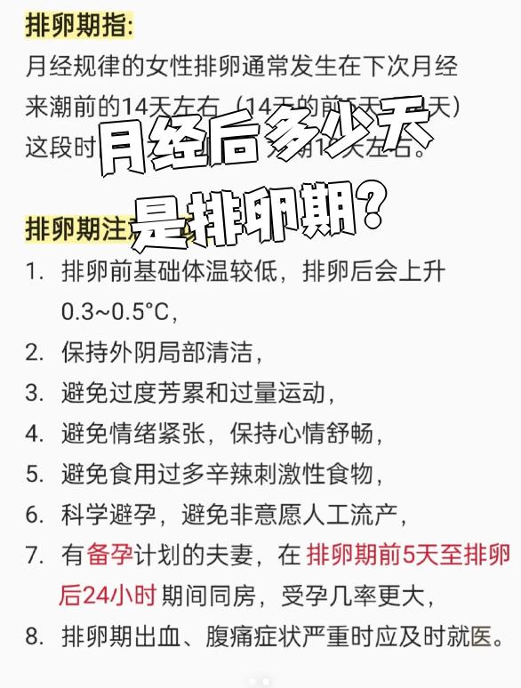 排卵后多久来月经?