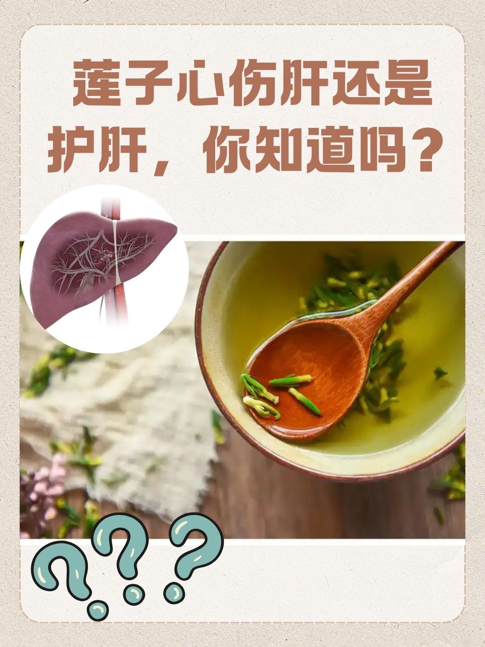 莲子心可以吃吗