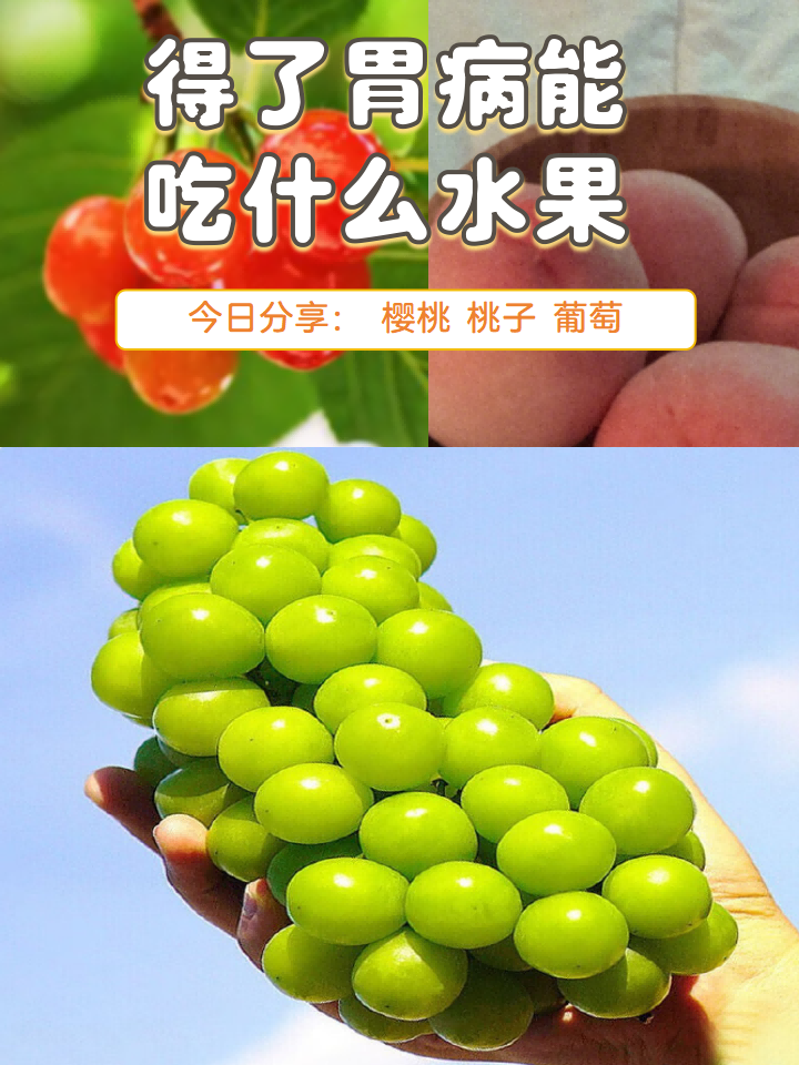 胃病吃什么水果好