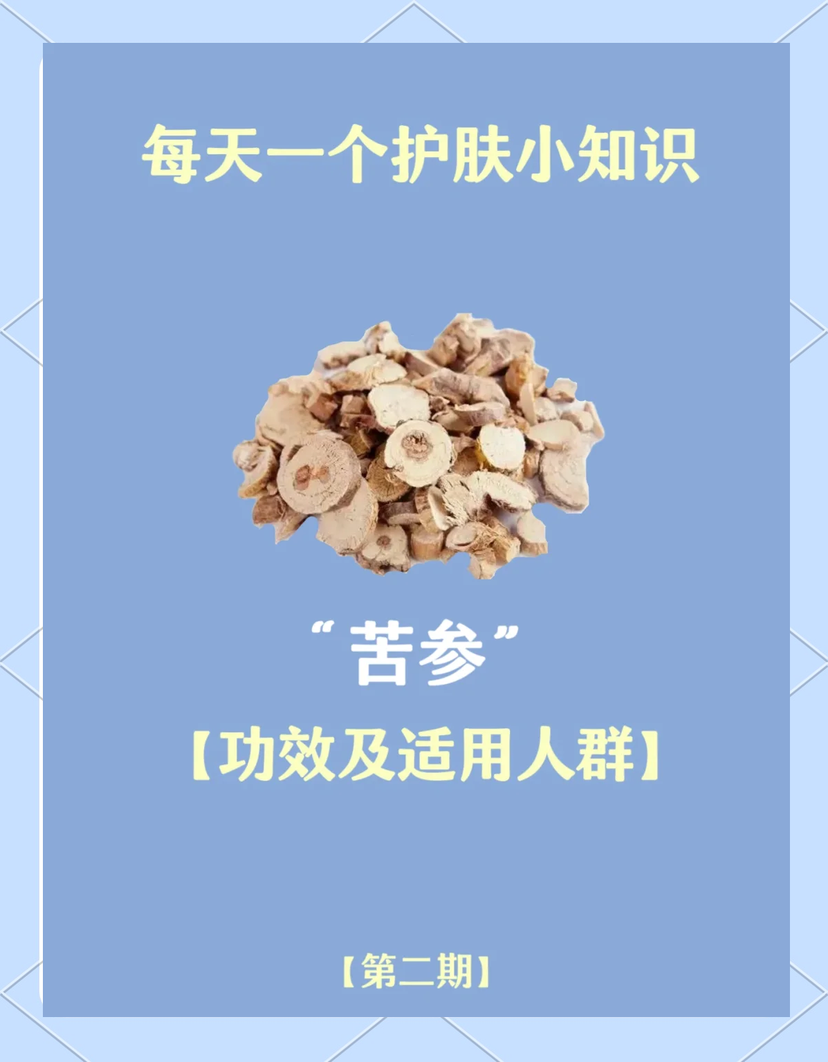 苦参的功效与作用