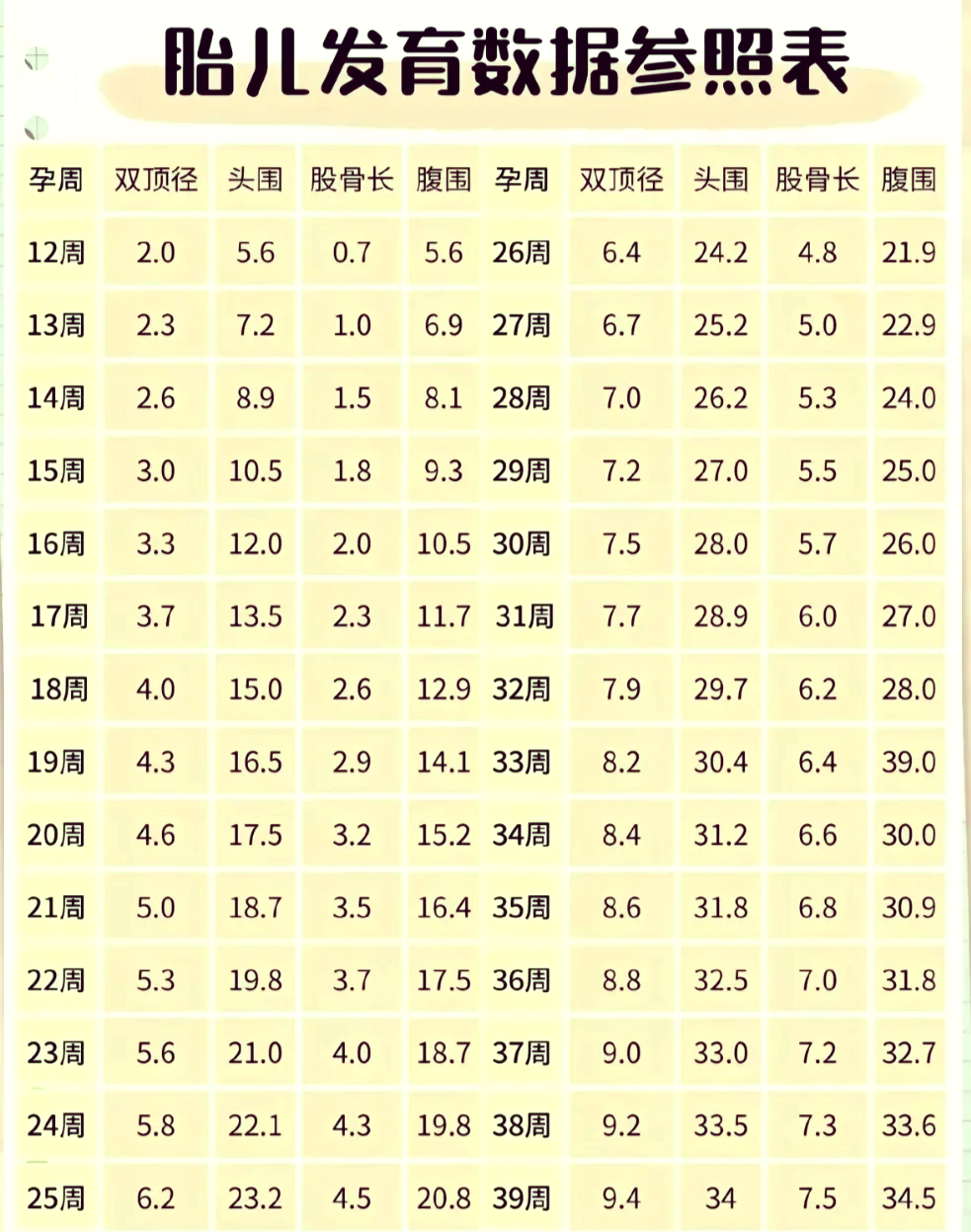 32周胎儿发育标准