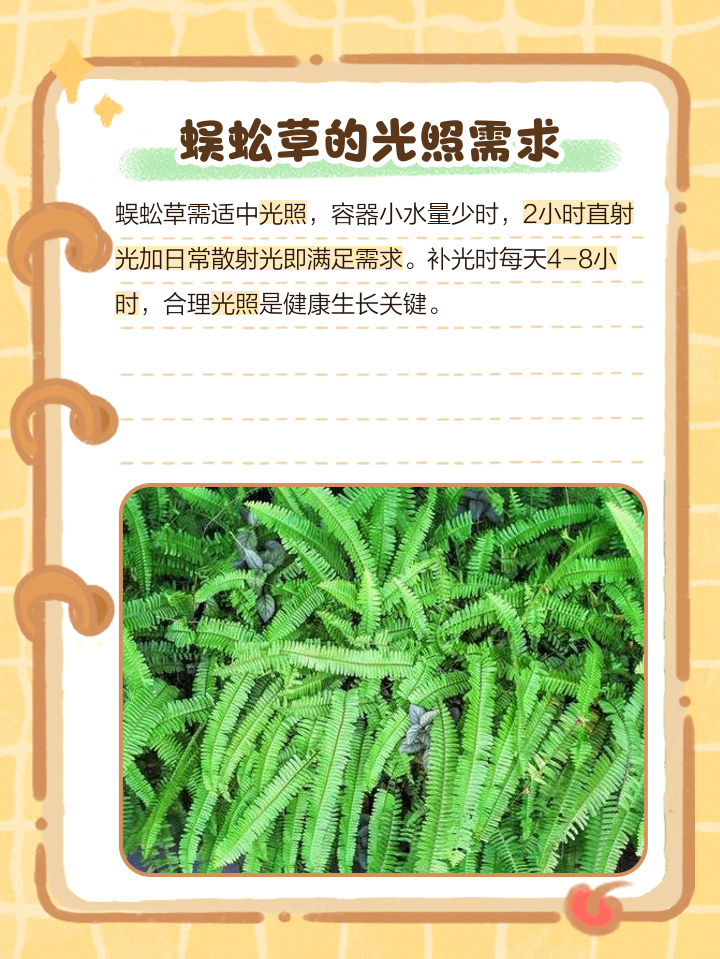 中药蜈蚣的功效与作用