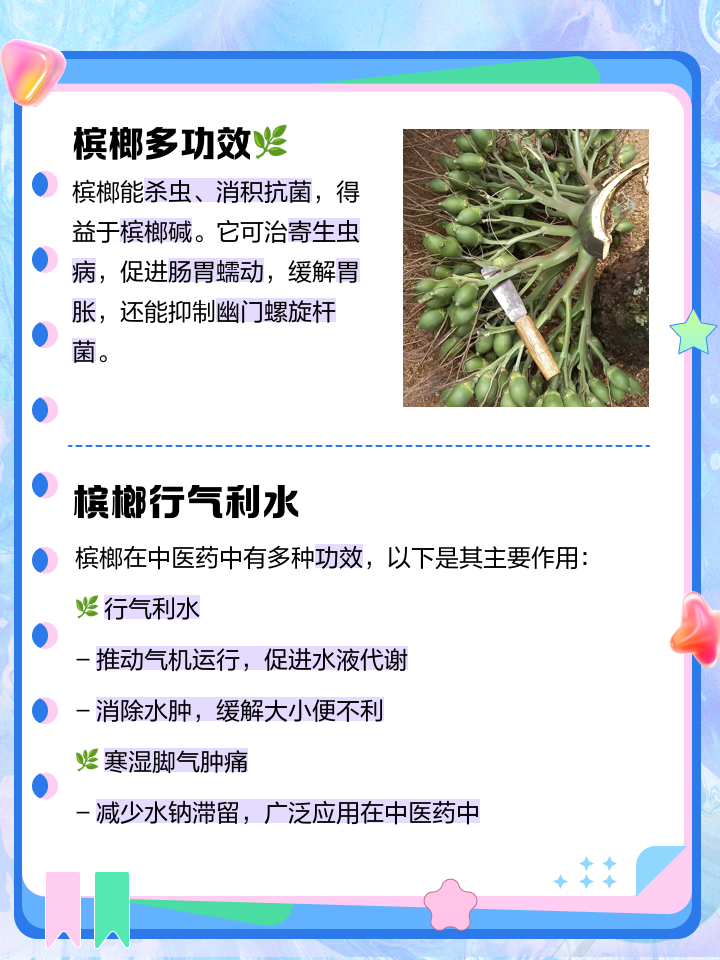 槟榔的功效与作用