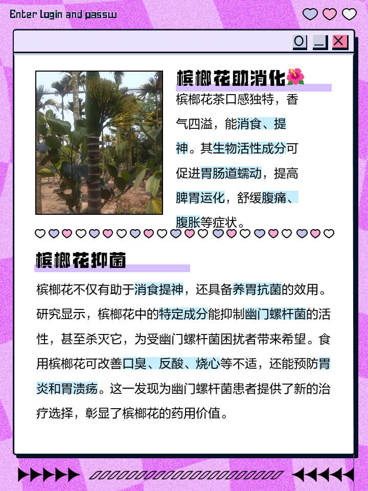 槟榔的功效与作用