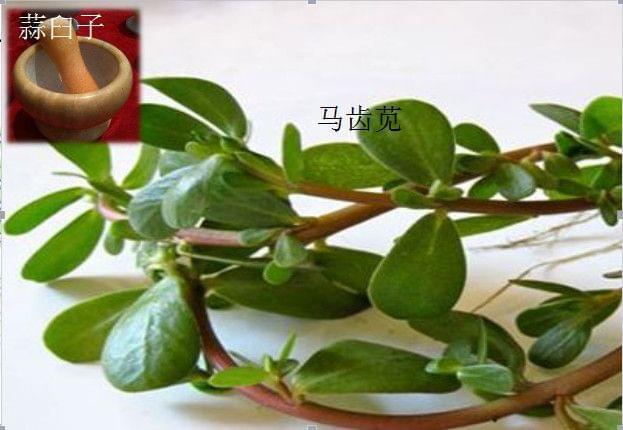 白带绿色,不瘙痒,无异味