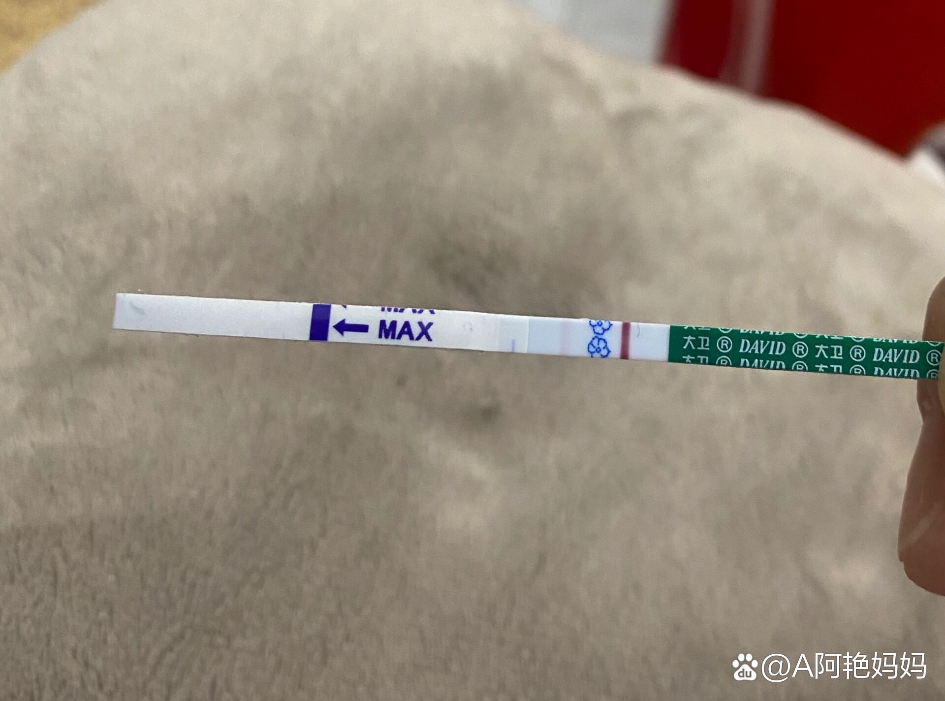 大卫早早孕试纸准吗