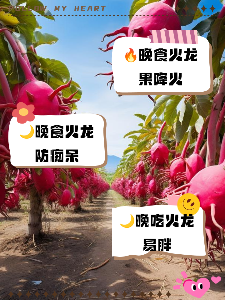 火龙果糖尿病人可以吃吗