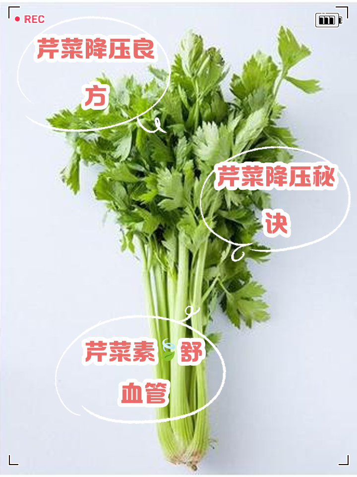 芹菜怎样吃才能降血压