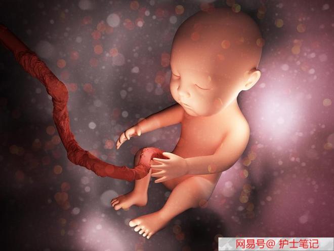 双子宫能生孩子吗