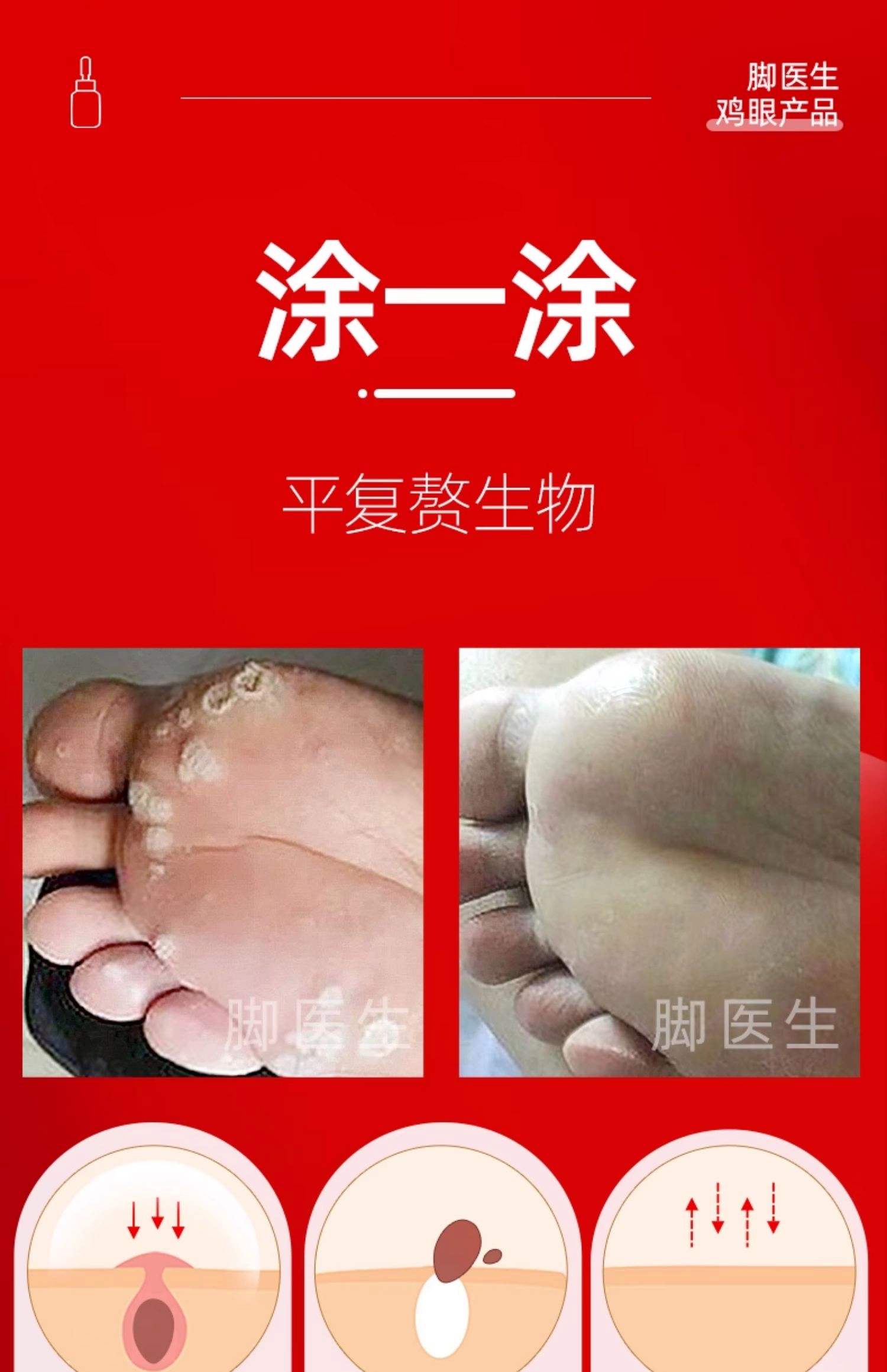 2025年12月18日 第5页