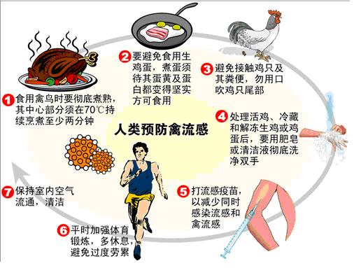 禽流感怎样预防?