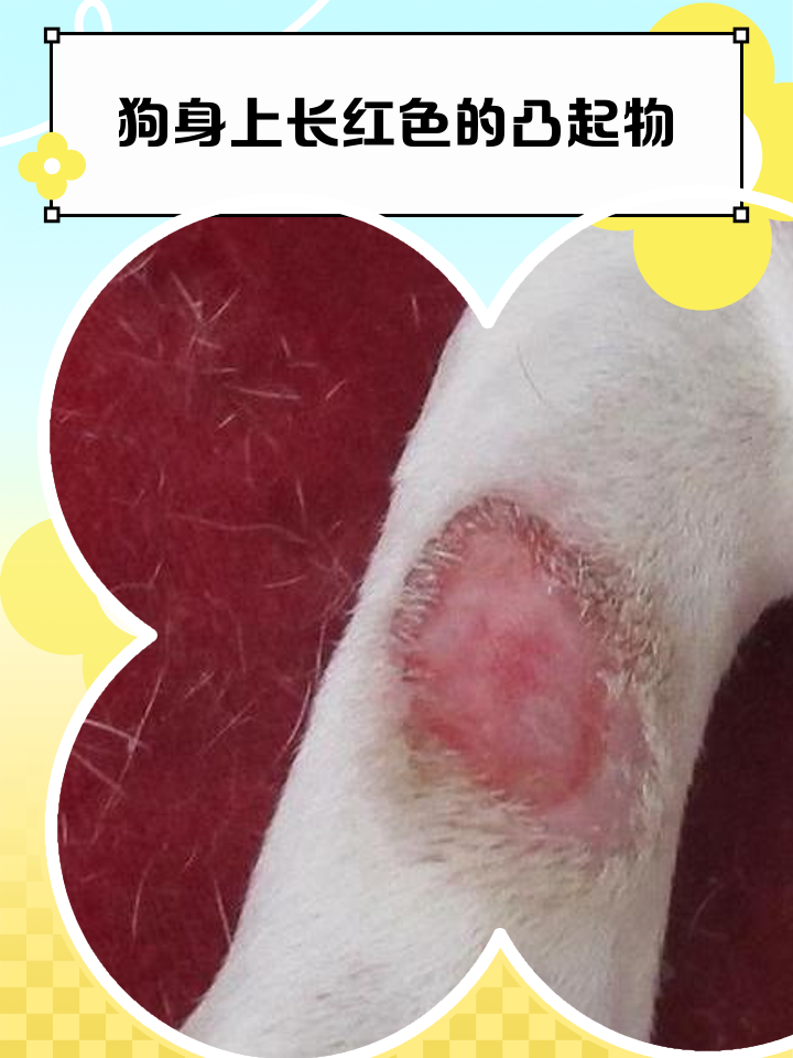 身上有红色的斑块怎么回事