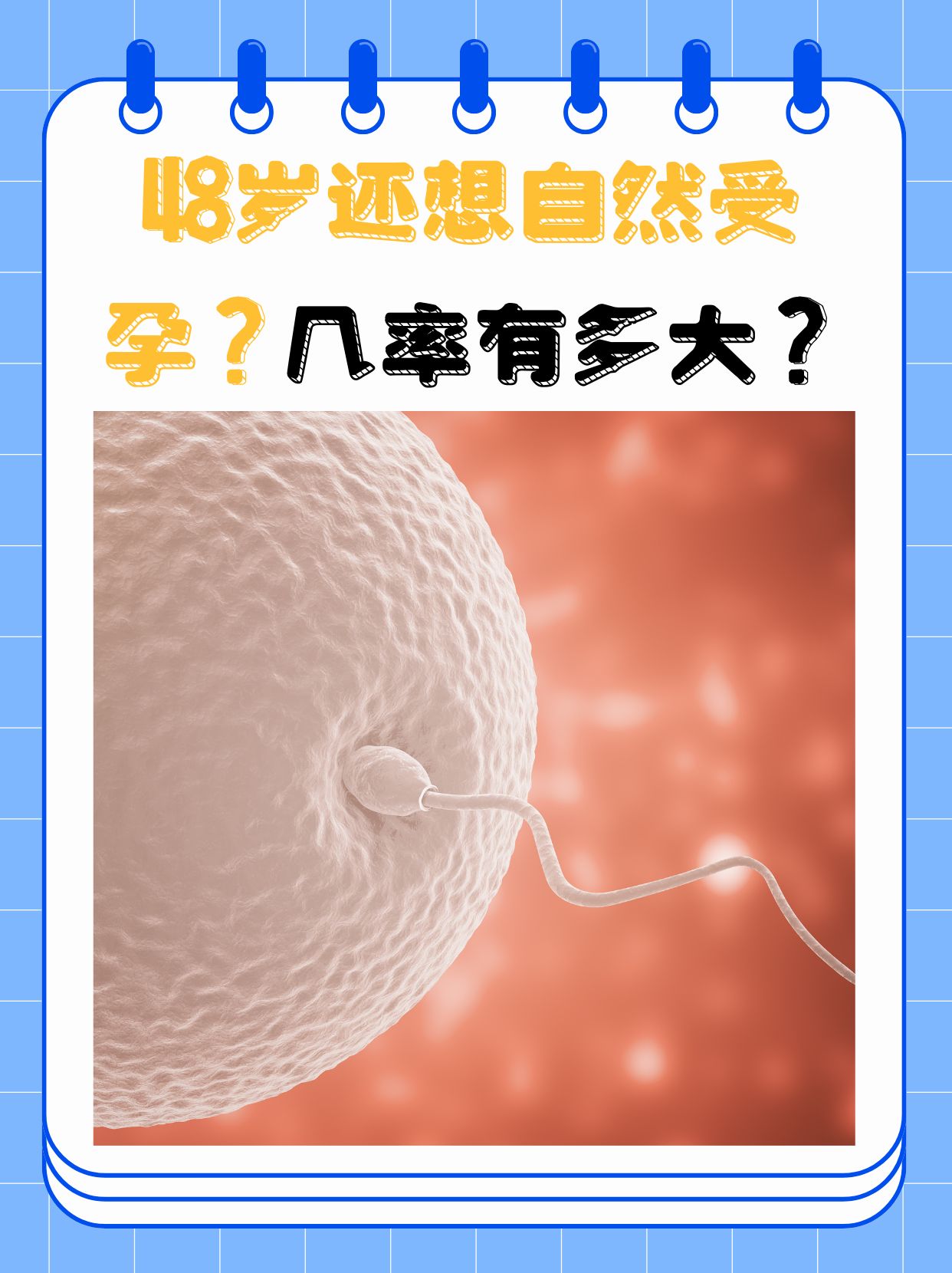 第一次会怀孕吗