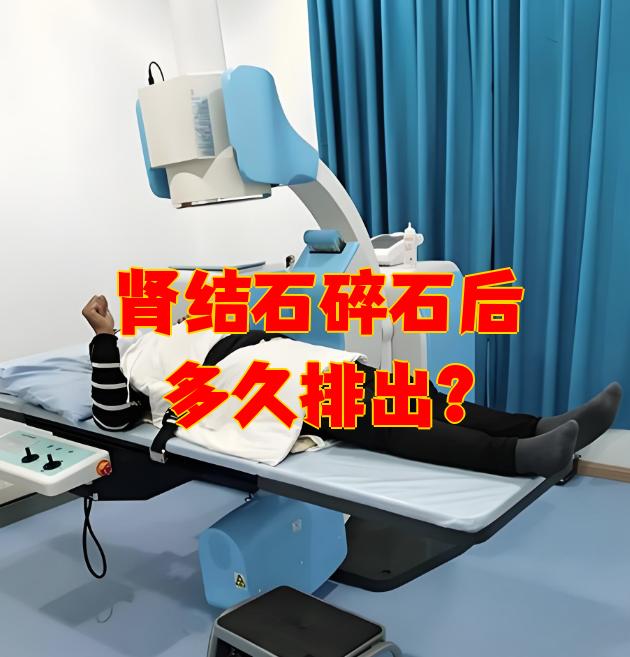 肾结石还能活多久?