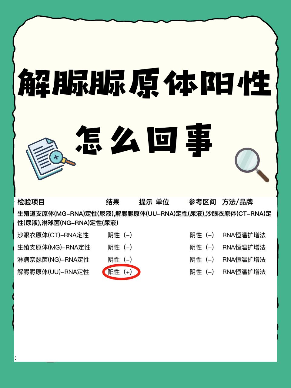 人型支原体是怎么回事?