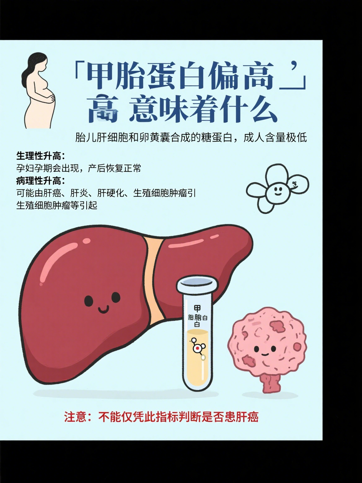 甲胎蛋白是什么意思