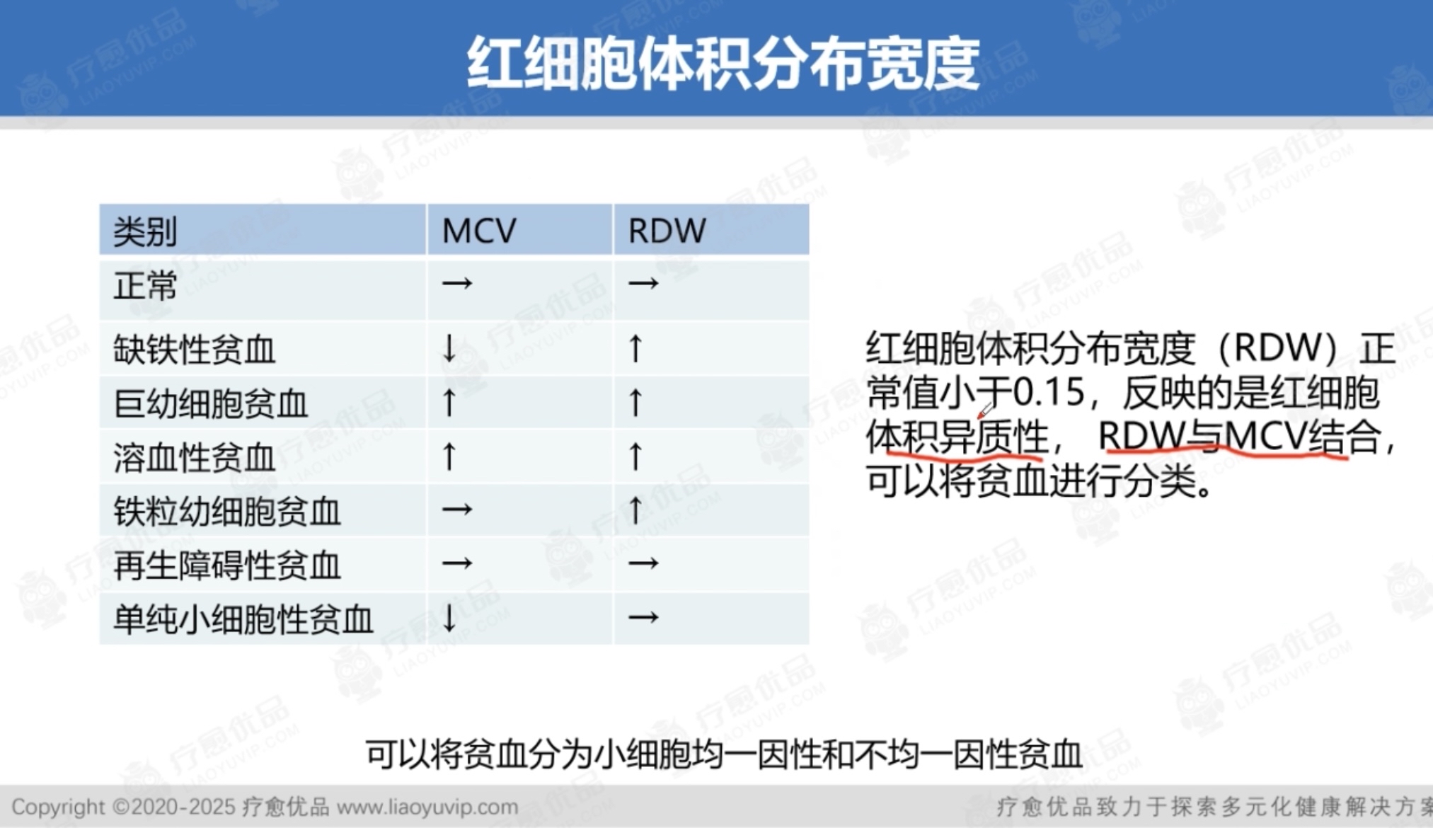 增生性贫血包括哪些