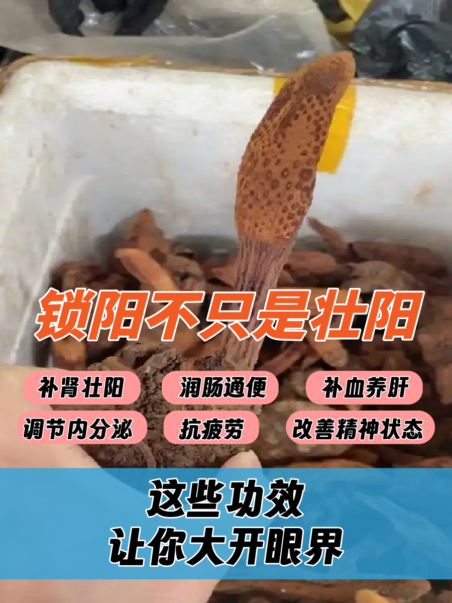 如何补肾壮阳效果最好?