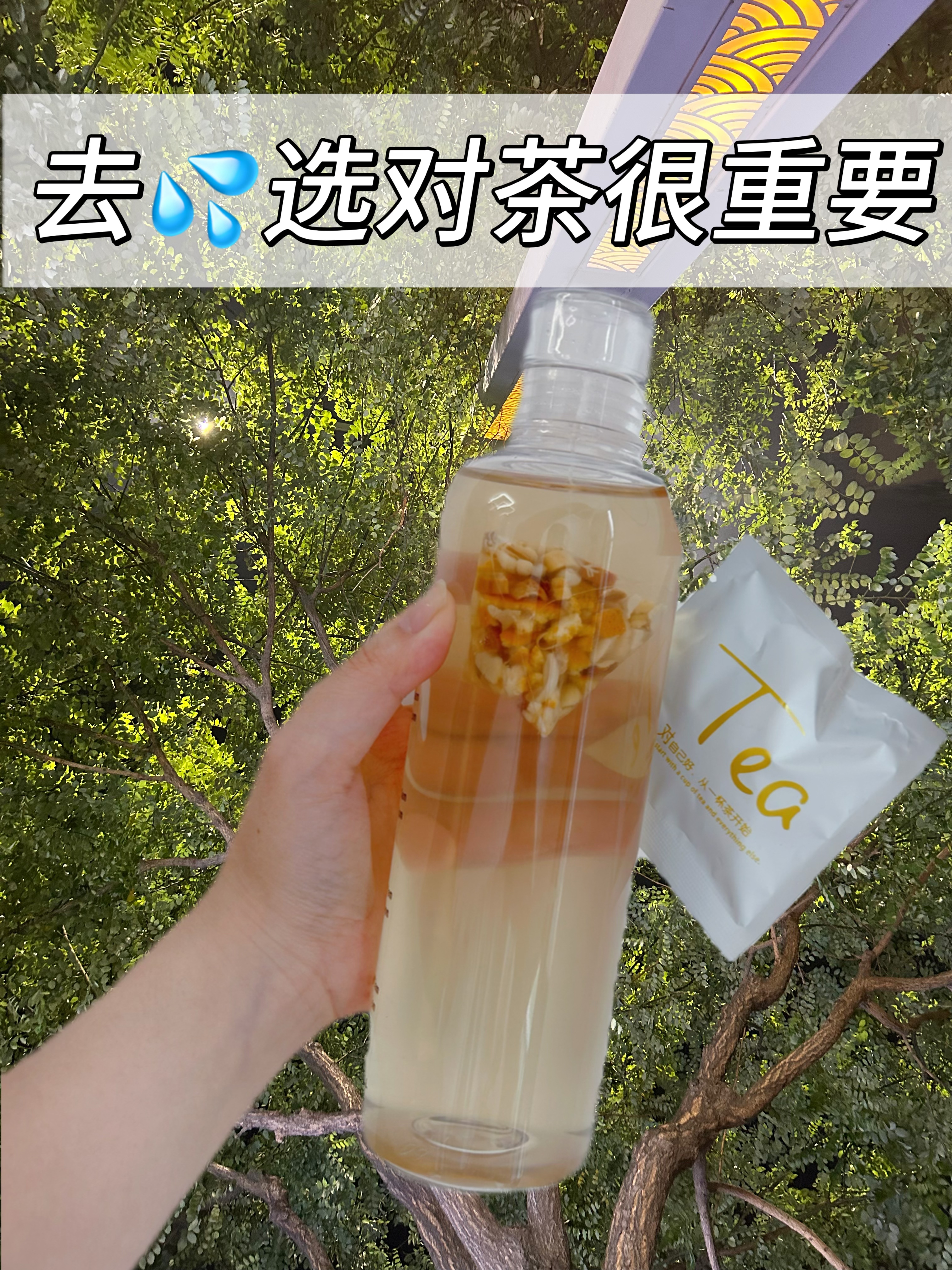 后爱暖参茶是真是假,喝去湿气吗?