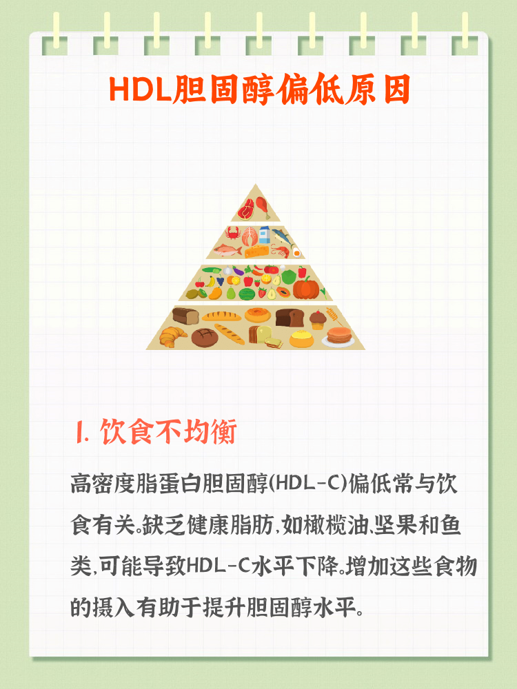 2025年12月19日 第24页