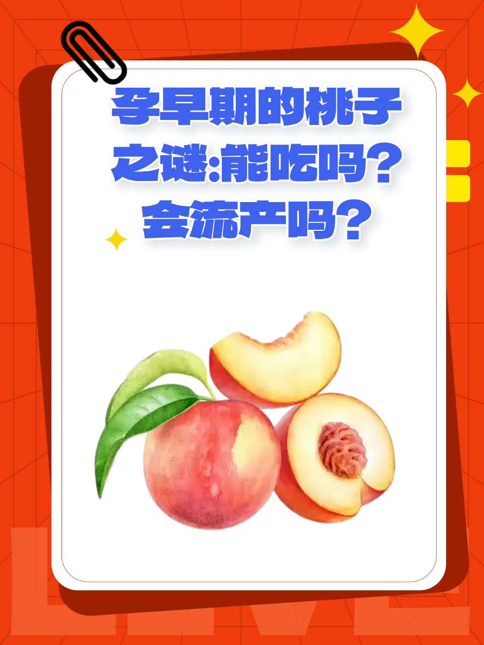 2025年12月19日 第12页